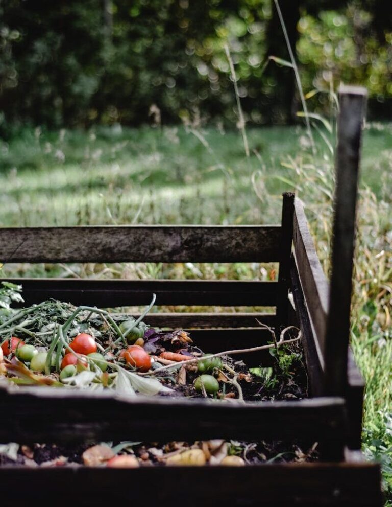 Wooden compost bin in an Estonian garden with organic waste and vegetables.