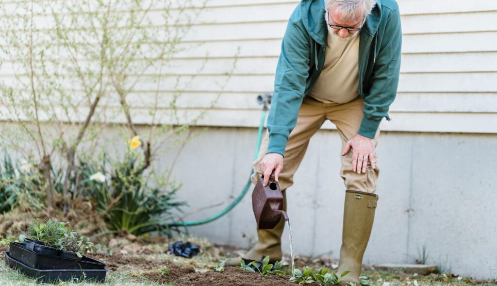 Senior male farmer in gumboots standing with can and watering green sprouts against wall