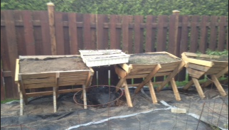 photo2